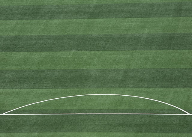 追逐梦想的 追逐梦想的