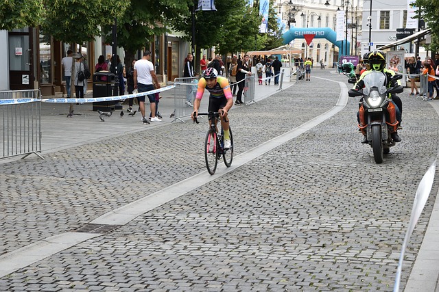 新与融合的 新与融合的