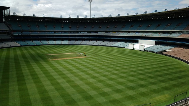 理上的成熟 理上的成熟