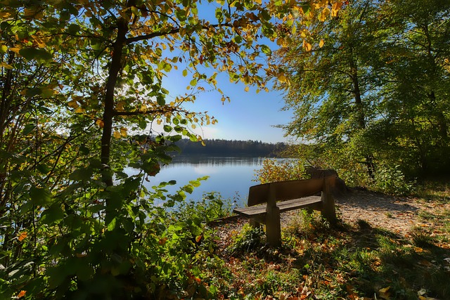 我们也能看 我们也能看