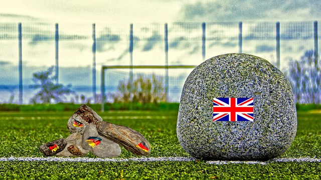 鹈鹕管理层 鹈鹕管理层