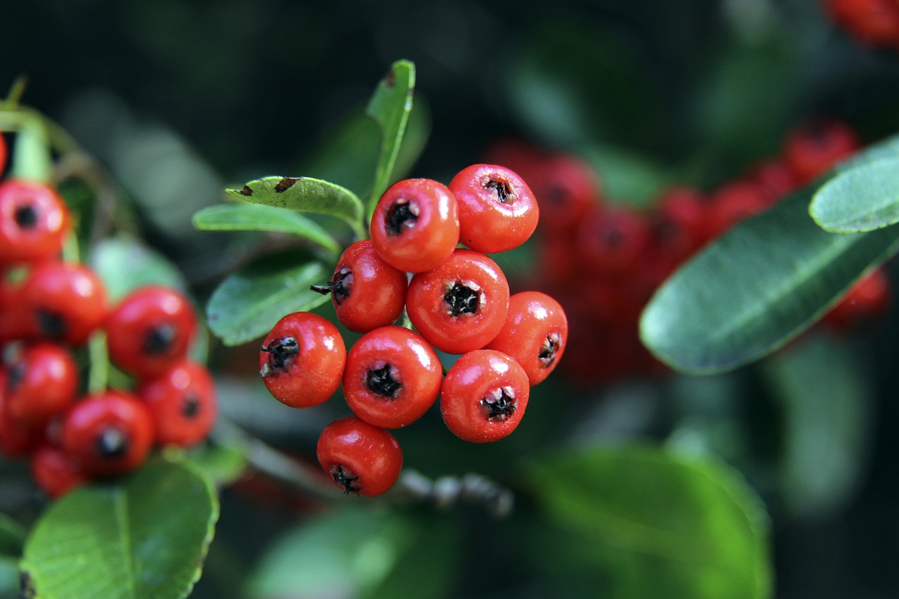 案例分析 案例分析