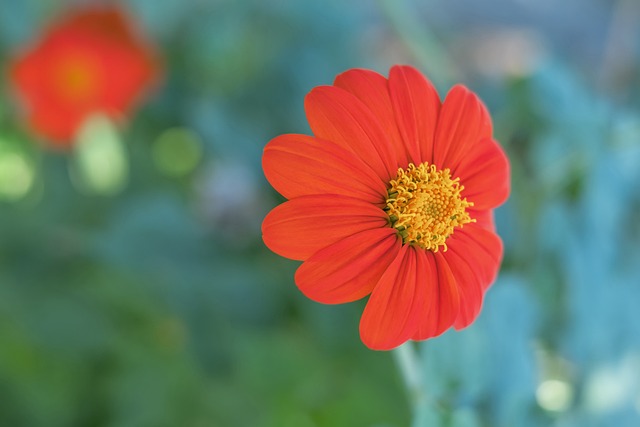 球强调技术 球强调技术